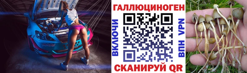 мега ССЫЛКА  Волгоград  Галлюциногенные грибы MAGIC MUSHROOMS  где купить наркоту 